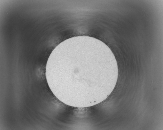 X0000062890672200601271649