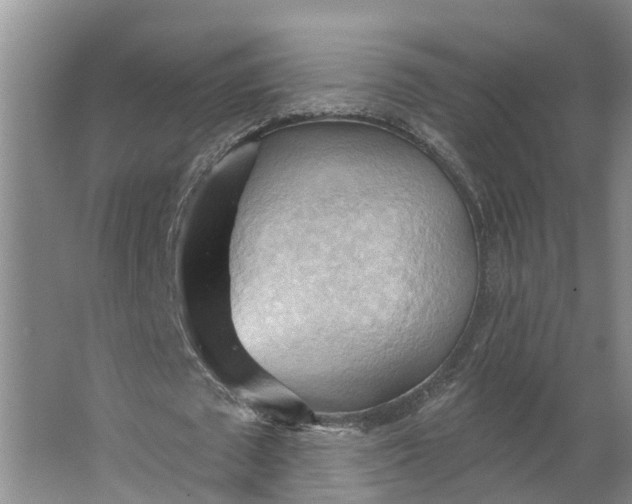 X0000062890673200601271648