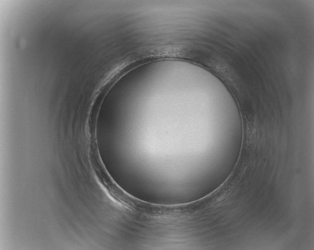 X0000062890674200601271648