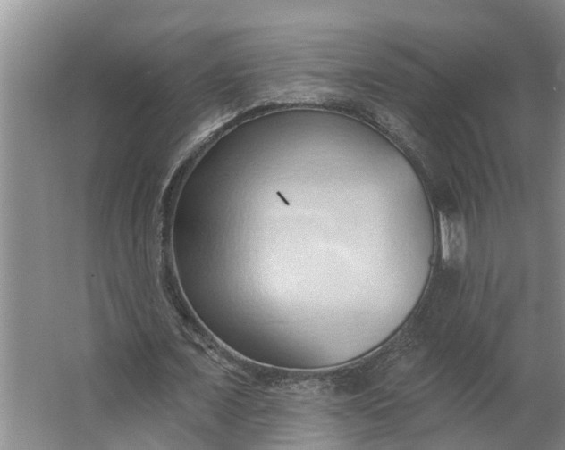 X0000062890675200601271648