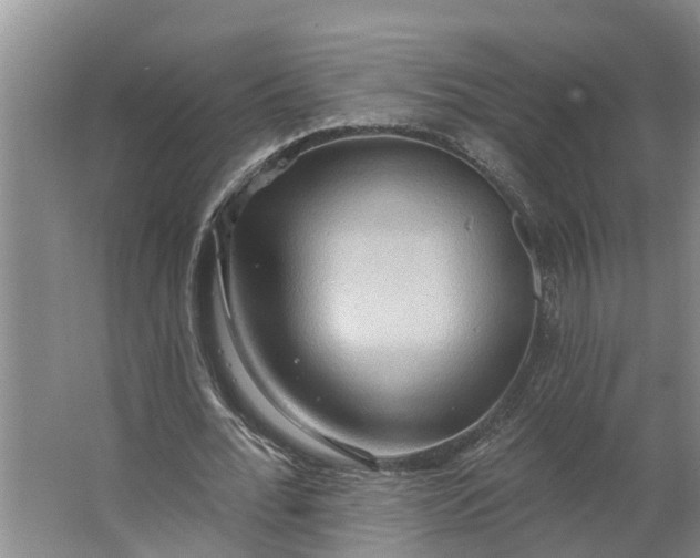 X0000062890676200601271648