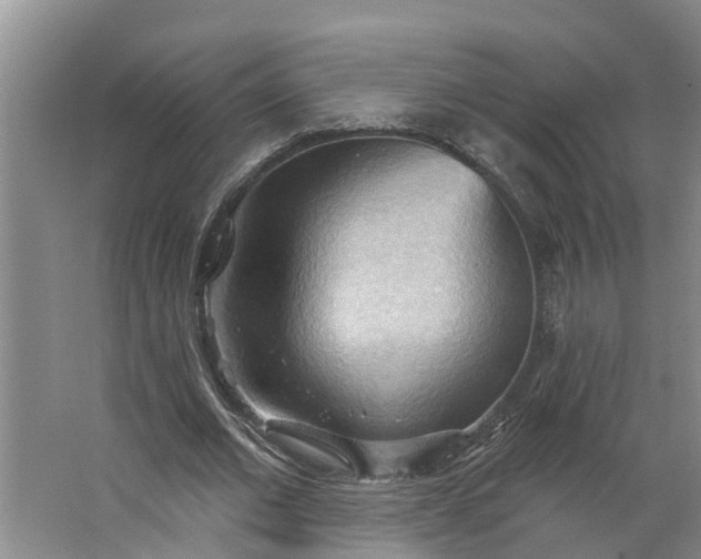 X0000062890677200601271648