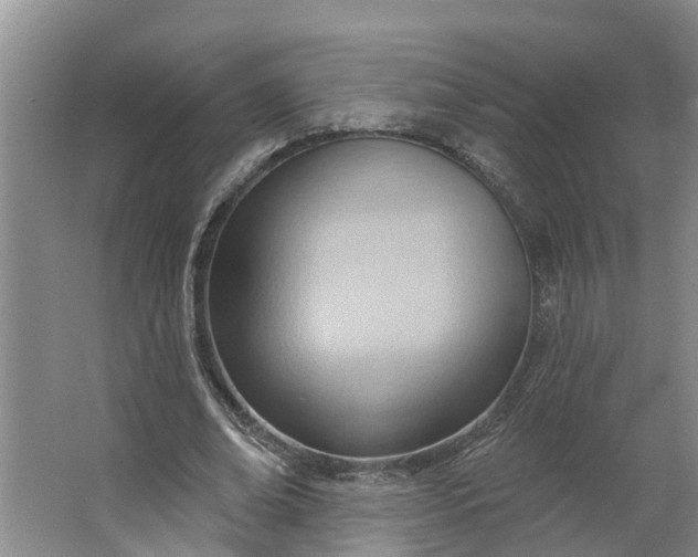 X0000062890678200601271648