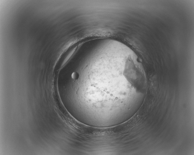 X0000062890679200601271648