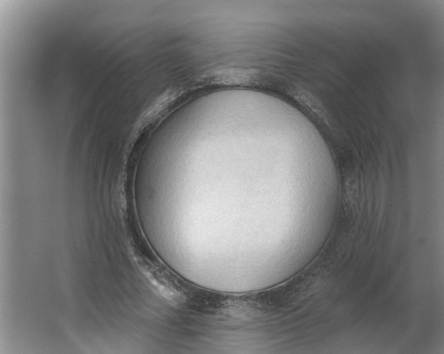 X0000062890682200601271648