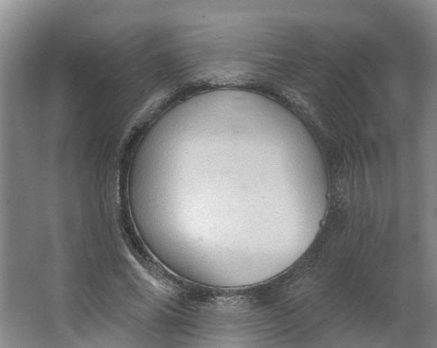 X0000062890686200601271648