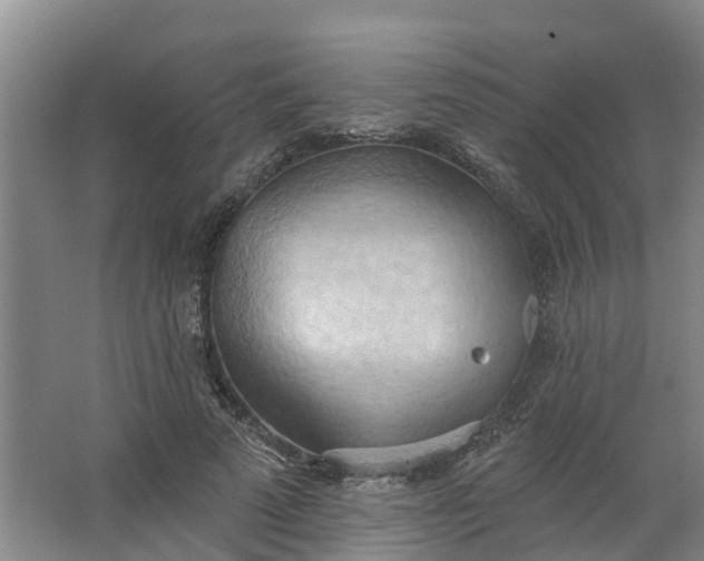 X0000062890689200601271648