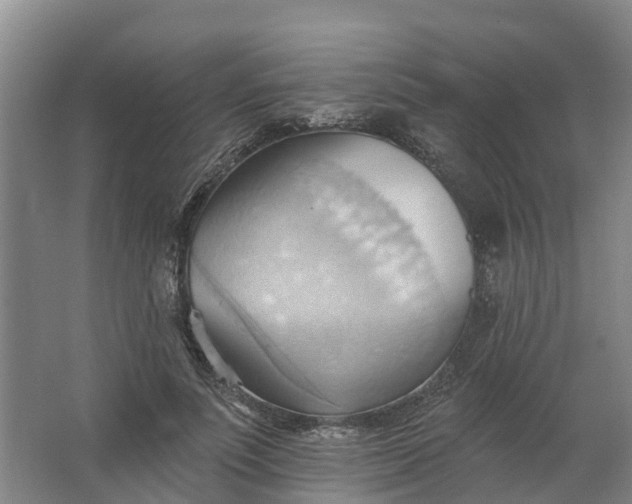 X0000062890691200601271648