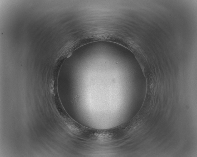 X0000062890693200601271648