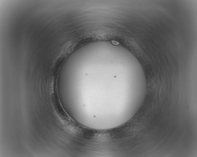 X0000062890694200601271648