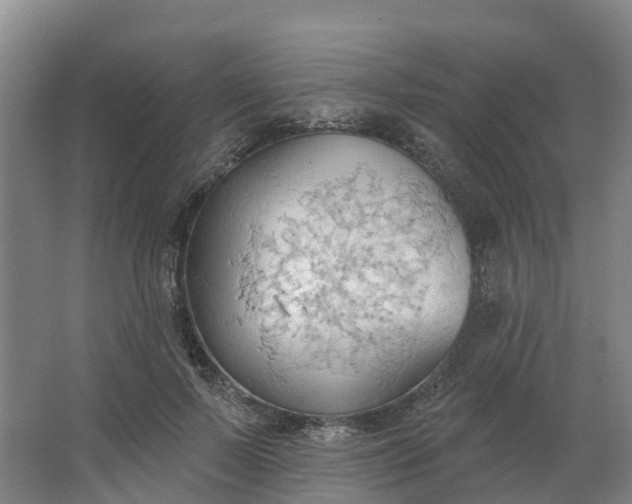 X0000062890695200601271648