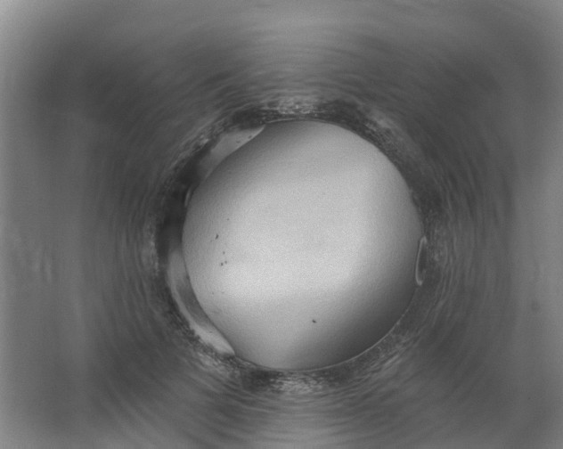 X0000062890697200601271648