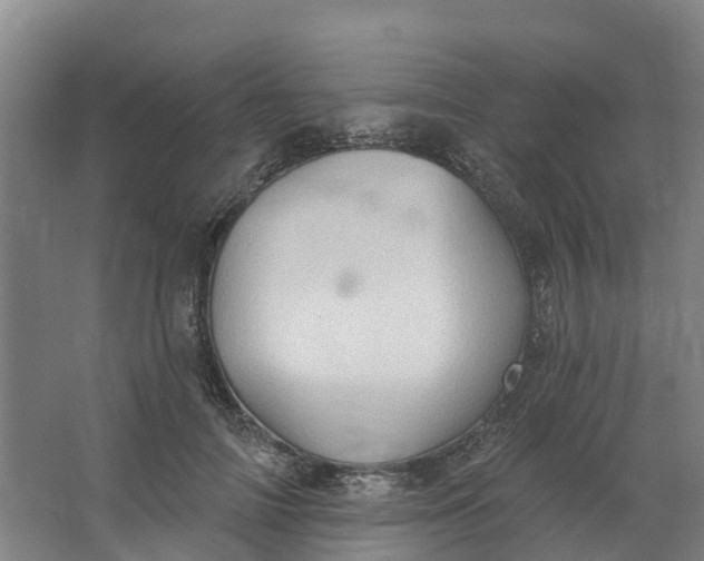 X0000062890698200601271648