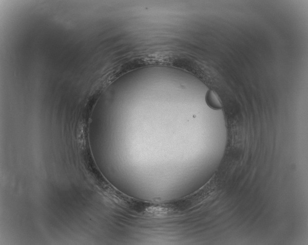 X0000062890699200601271648