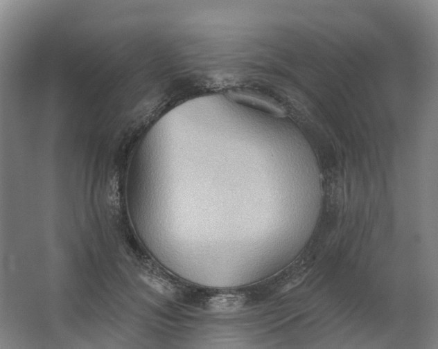 X0000062890700200601271648