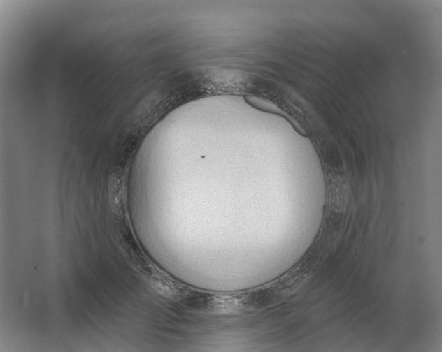 X0000062890701200601271648