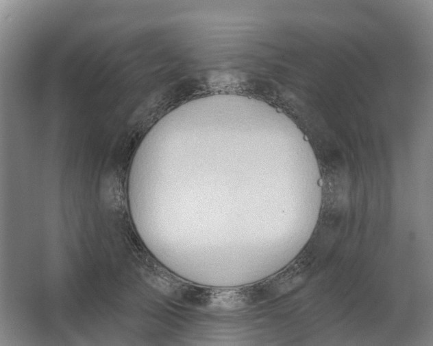 X0000062890705200601271648