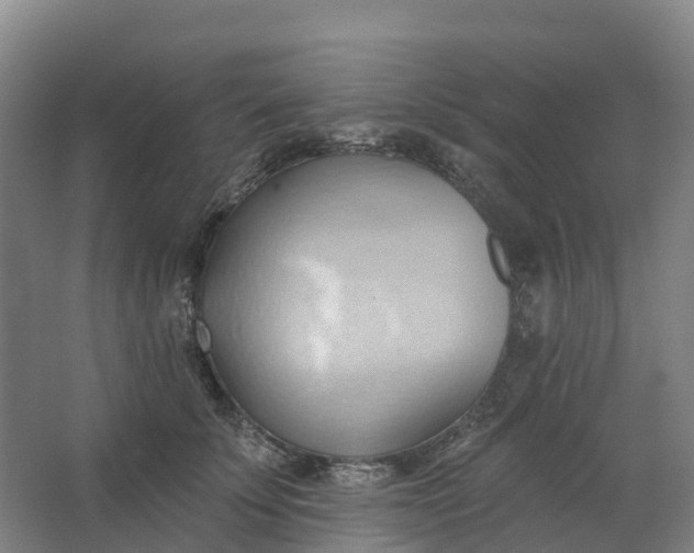 X0000062890707200601271648