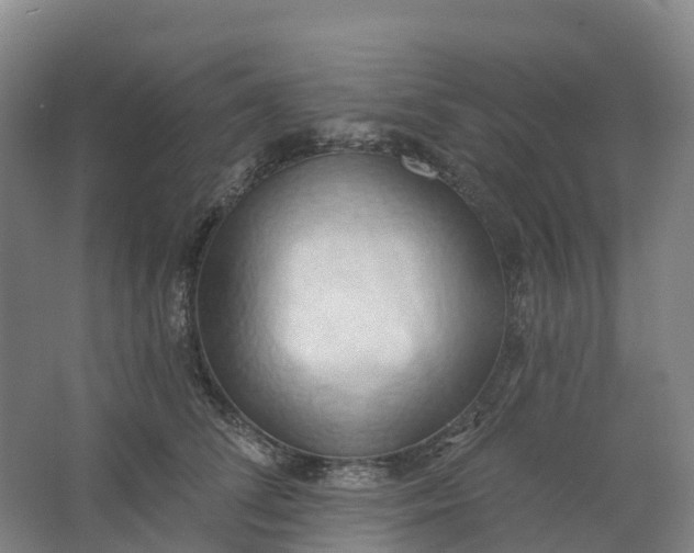 X0000062890708200601271648