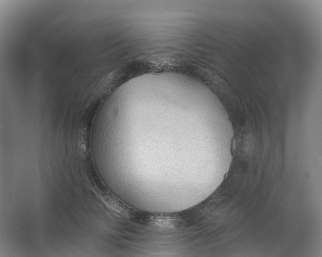 X0000062890710200601271648