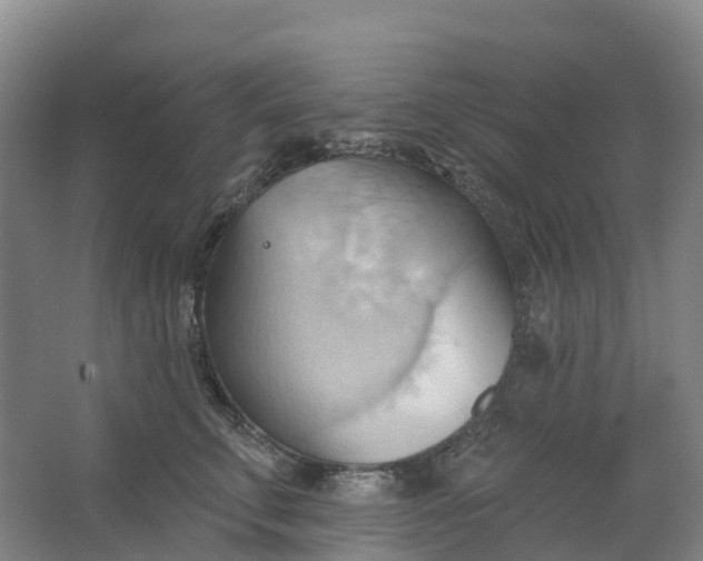 X0000062890711200601271648