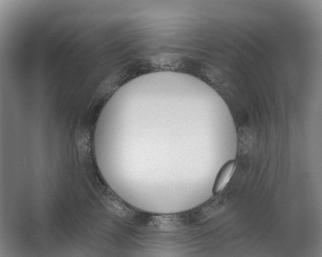 X0000062890713200601271648