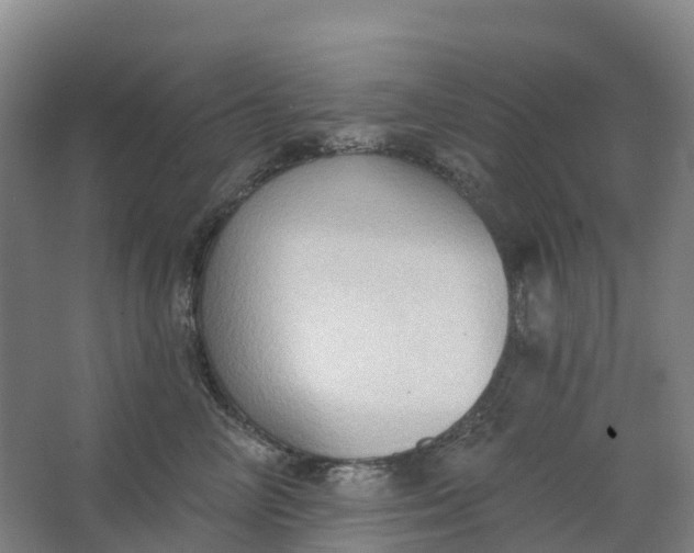 X0000062890714200601271648