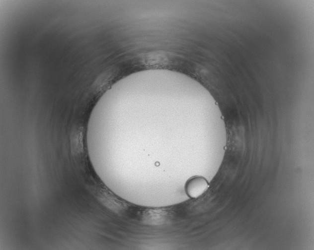 X0000062890717200601271648