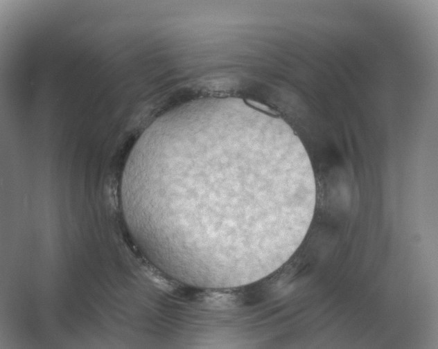 X0000062890718200601271647