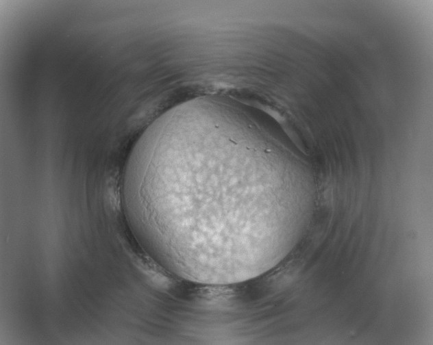 X0000062890719200601271647