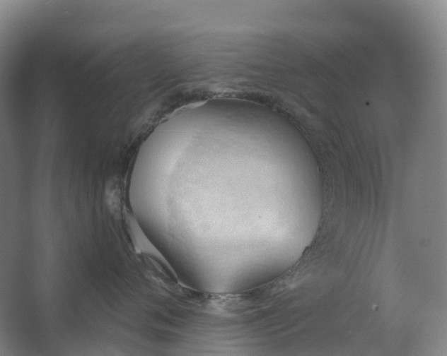 X0000062890720200601271647