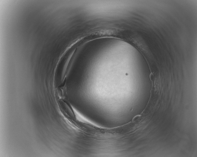 X0000062890722200601271647