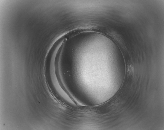 X0000062890724200601271647