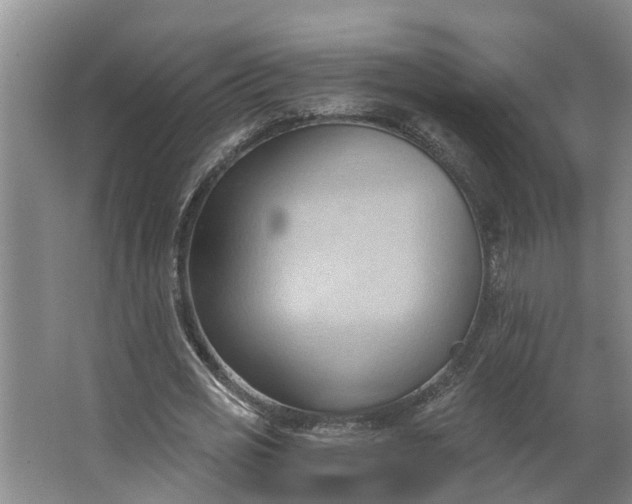 X0000062890725200601271647