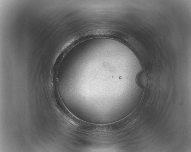 X0000062890727200601271647