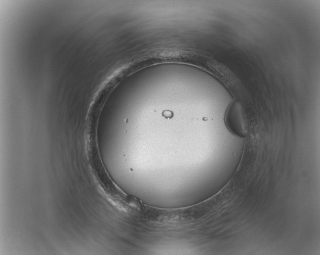 X0000062890728200601271647