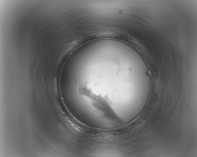 X0000062890729200601271647