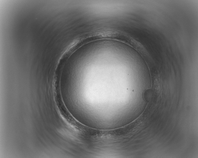 X0000062890730200601271647