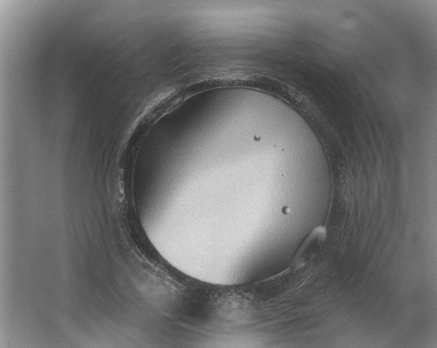 X0000062890731200601271647