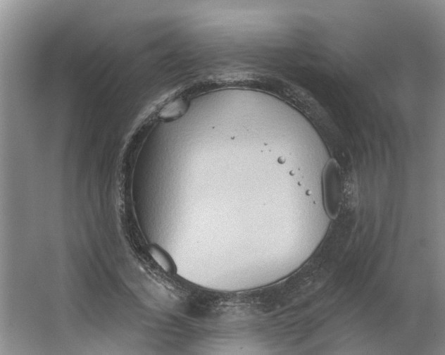 X0000062890732200601271647