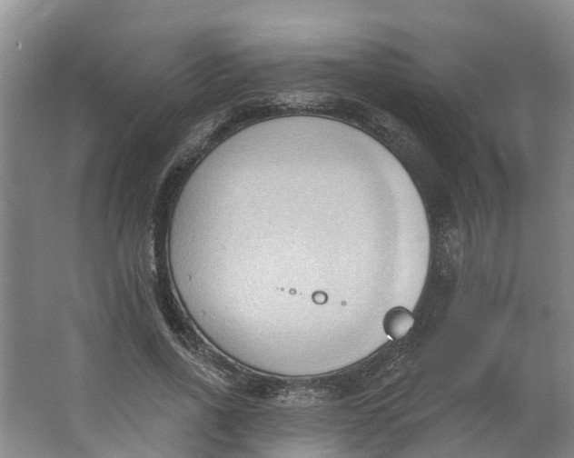 X0000062890734200601271647