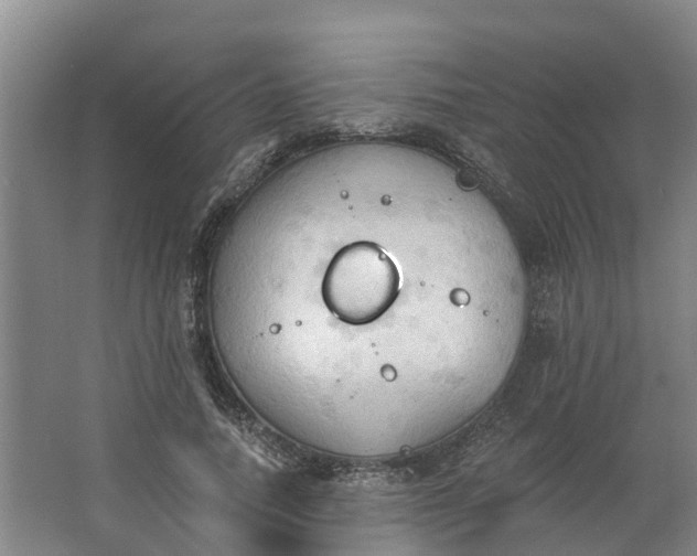 X0000062890738200601271647