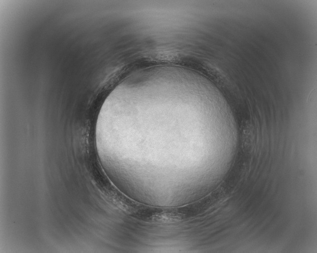 X0000062890739200601271647