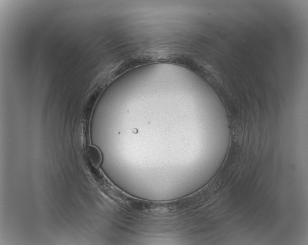 X0000062890740200601271647