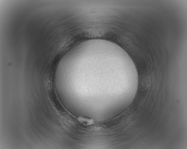 X0000062890743200601271647