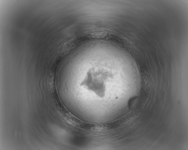 X0000062890745200601271647