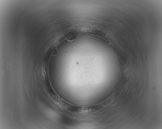 X0000062890746200601271647