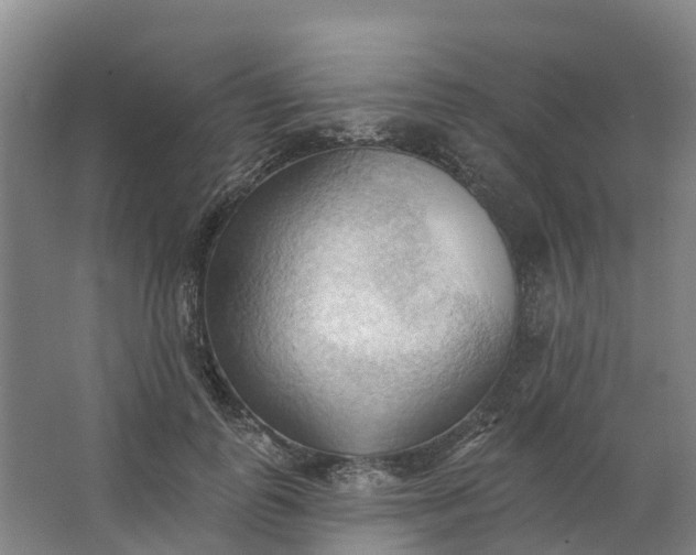 X0000062890747200601271647