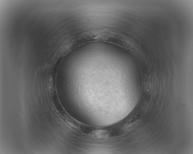 X0000062890748200601271647