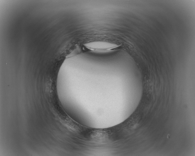 X0000062890750200601271647